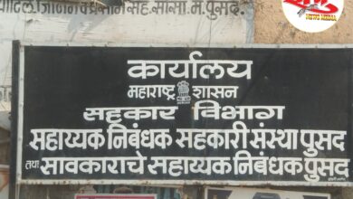 Photo of पुसद तालुक्यातील मजूर संस्थांच्या नावाखाली बोगस कामांचा सुळसुळाट.?