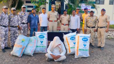 Photo of लाखो रुपयांच्या गांजाची शेती करणारा पोलिसांच्या ताब्यात; उपविभागीय पोलीस अधिकारी यांच्या पथकांची मोठी कामगिरी!