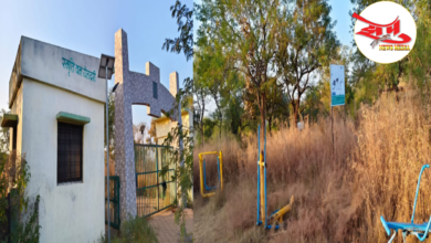 Photo of पुसद -वाशीम रस्त्यालगत असलेल्या येलदरी घाटातील वनविभागाच्या ‘स्मृतीवन उद्यानांची’ दुर्दशा ; पुसद वनपरिक्षेत्र अधिकाऱ्यांचे जाणिवपूर्वक दुर्लक्ष!