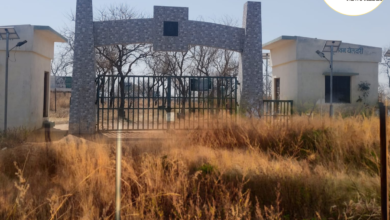 Photo of पुसद वनविभागाच्या निष्क्रिय कारभारामुळे येलदरी स्मृती वनातील माळरान पार भकास पडलंय शासनाचा लाखो रुपये निधी कागदोपत्री  दाखविल्याचा माहिती अधिकारात उघड! २९०१ लावलेली झाडं गायब!